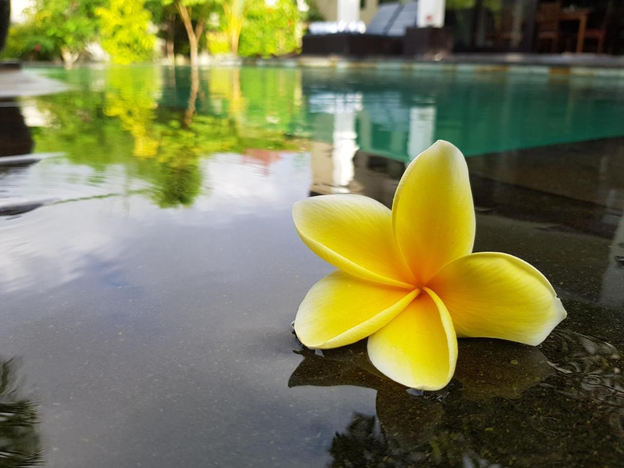 Villa Horizon Nusa Dua Exteriör bild